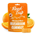 Road Trip Gummies